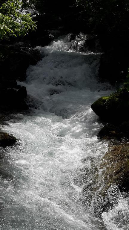Tipotsch Schwendau